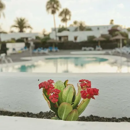 Duplex Joan Puerto del Carmen (Lanzarote)